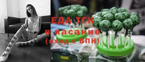 индика Арсеньев