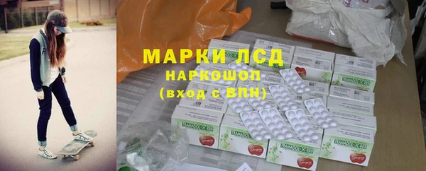 индика Арсеньев