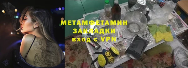 индика Арсеньев