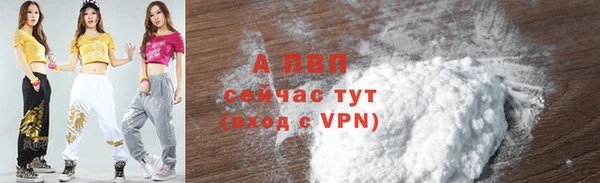 индика Арсеньев