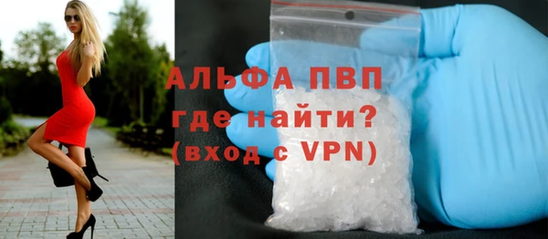 индика Арсеньев