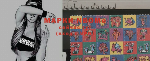 индика Арсеньев