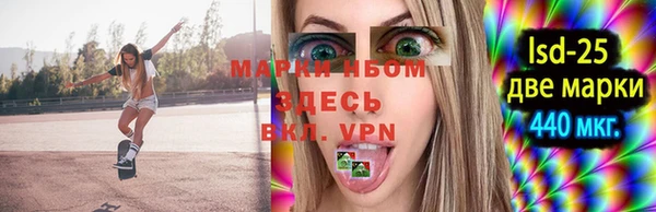 индика Арсеньев