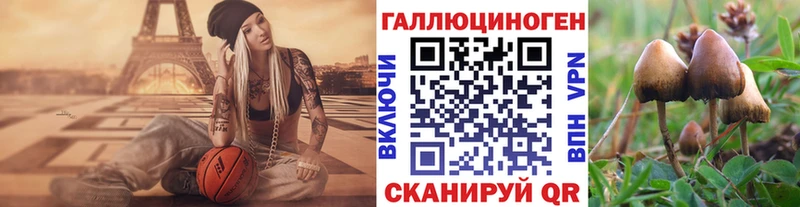 Галлюциногенные грибы ЛСД маркетплейс официальный сайт Белёв где продают